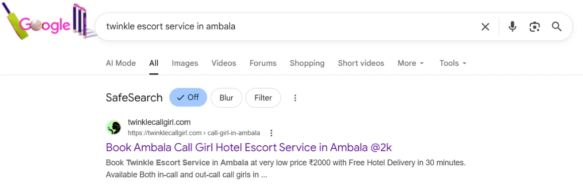 screenshot result keyword type on google 'twinkle escort service in ambala'